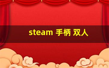 steam 手柄 双人